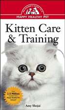 Kitten Care & Training