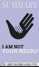 Summary of I Am Not Your Negro