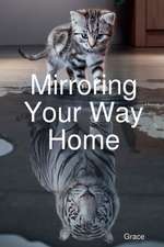 Mirroring Your Way Home