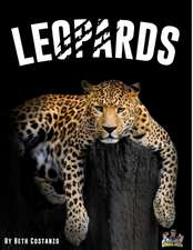 Leopards