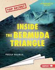 Inside the Bermuda Triangle