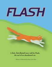 Flash: A lost, but found story told by Flash, the son of an abandoned cat.