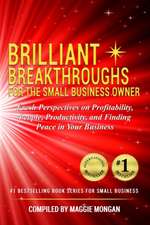 Brilliant Breakthroughs for the Small Business Owner: Fresh Perspectives on Profitability, People, Productivity, and Finding Peace in Your Business