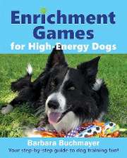 Enrichment Games for High-Energy Dogs