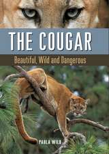 The Cougar: Beautiful, Wild and Dangerous