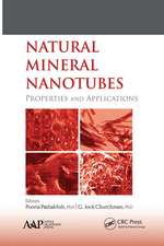 Natural Mineral Nanotubes