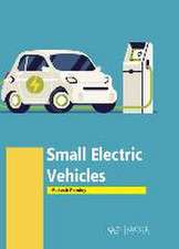 SMALL ELECTRIC VEHICLES