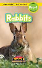 Rabbits