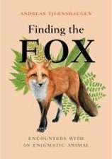 Finding the Fox