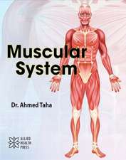 Muscular System