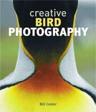 Creative Bird Photography