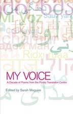 My Voice