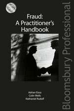 Fraud: A Practitioner's Handbook