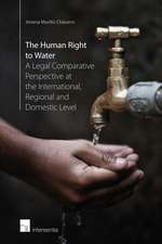 The Human Right to Water