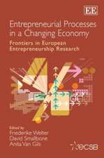 Entrepreneurial Processes in a Changing Economy – Frontiers in European Entrepreneurship Research