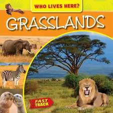 Grasslands