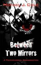 Between Two Mirrors: On Earth ... Mostly