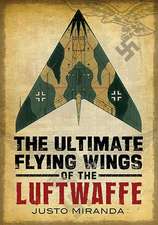 The Ultimate Flying Wings of the Luftwaffe