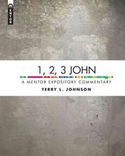 1, 2, 3 John: A Mentor Expository Commentary