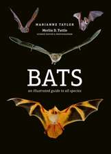 Taylor, M: Bats