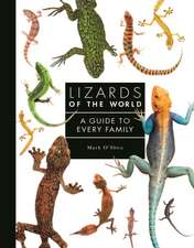 Lizards of the World