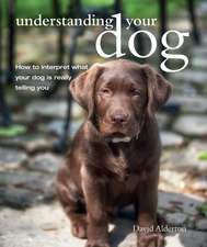 Understanding Your Dog: How to interpret what your dog is really telling you