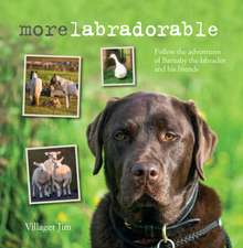 Morelabradorable: Follow the adventures of Barnaby the labrador and his friends