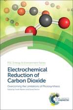 Electrochemical Reduction of Carbon Dioxide