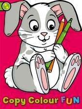 Copy Colour Fun: Rabbit