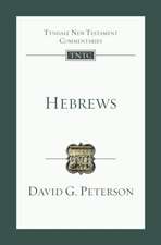 Hebrews – An Introduction And Commentary