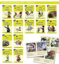 Phonic Books Dandelion Readers Vowel Spellings Level 1 (One vowel team for 12 different vowel sounds ai, ee, oa, ur, ea, ow, b‘oo’t, igh, l‘oo’k, aw, oi, ar): Decodable books for beginner readers One vowel team for 12 different vowel sounds ai, ee, oa, ur, ea, ow, b‘oo’t, igh, l‘oo’k, aw, oi, ar