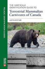 Hair Scale Identification Guide to Terrestrial Carnivores of Canada