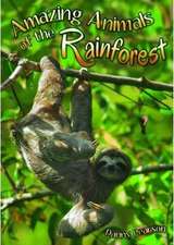 Amazing Animals of the Rainforest