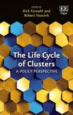 The Life Cycle of Clusters – A Policy Perspective