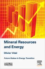 Mineral Resources and Energy: Future Stakes in Energy Transition