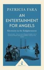 An Entertainment for Angels: Electricity in the Enlightenment