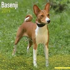 Basenji Calendar 2019