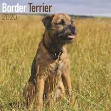 Border Terrier Calendar 2020