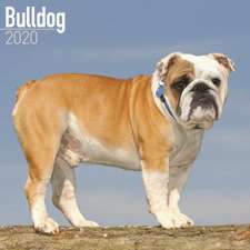 Bulldog Calendar 2020