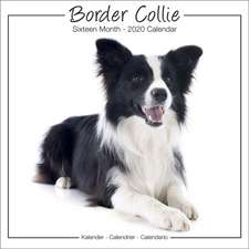 Border Collie Studio Calendar 2020