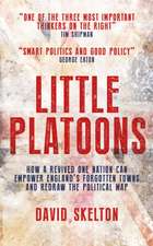 Little Platoons