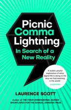 Picnic Comma Lightning