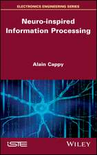 Neuro–inspired Information Processing