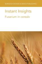Instant Insights
