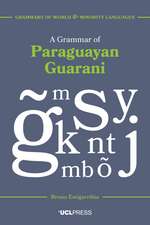 A Grammar of Paraguayan Guarani,