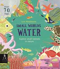 Murray, L: Small Worlds: Water