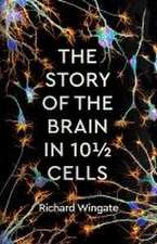 The Story of the Brain in 101/2 Cells