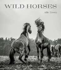 Wild Horses