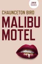 Malibu Motel – A novel about the colossal cost of free cash