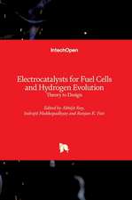 Electrocatalysts for Fuel Cells and Hydrogen Evolution